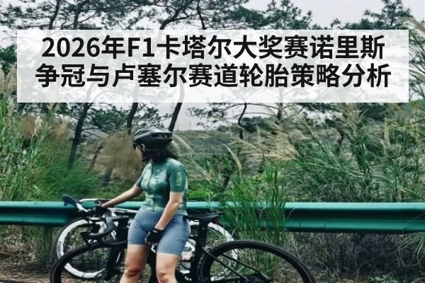2026年F1卡塔尔大奖赛诺里斯争冠与卢塞尔赛道轮胎策略分析